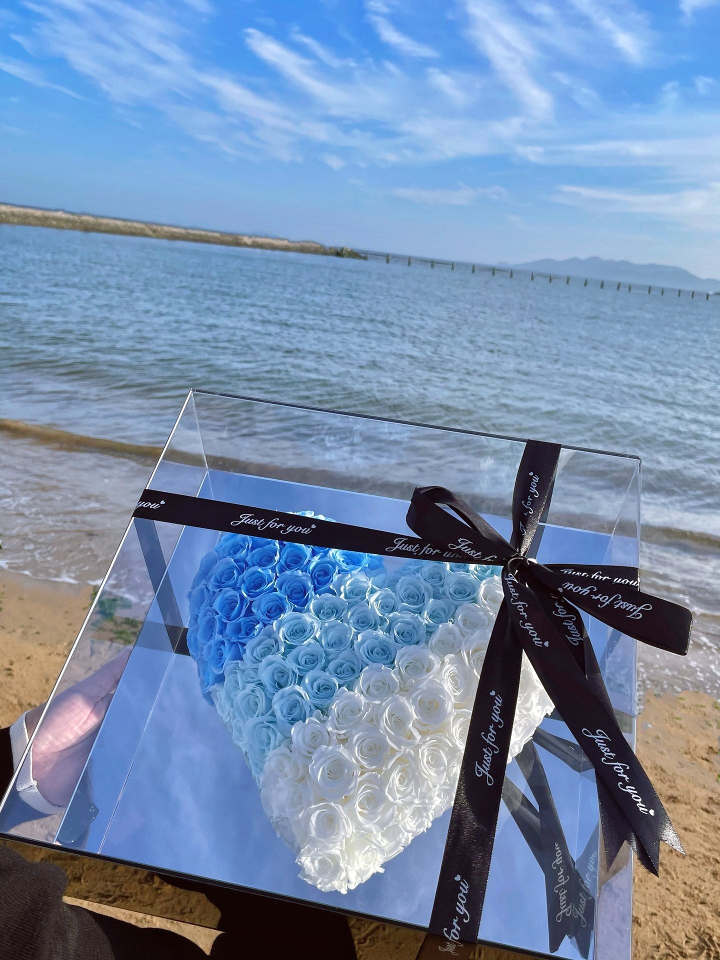 "Lasts Forever" Preserved Rose Heart for Mirror - Timeless Valentine's Day Gift for Wife Girlfriend, Symbol of Never-Fading Love