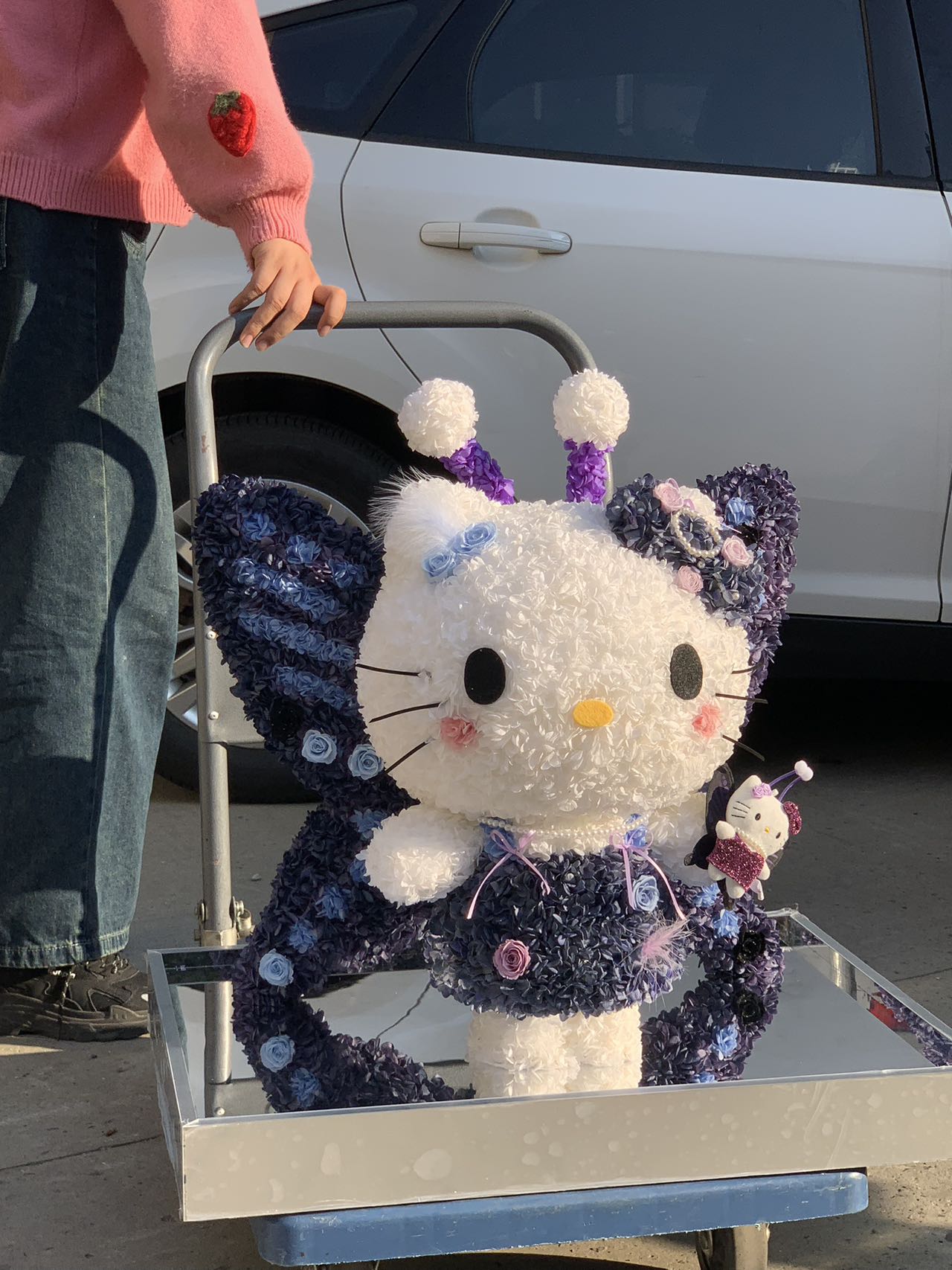 Preserved Flower Hello Kitty Doll - Eternal Bloom Cute Plush, Perfect Gift for Kitty Lovers & Deco