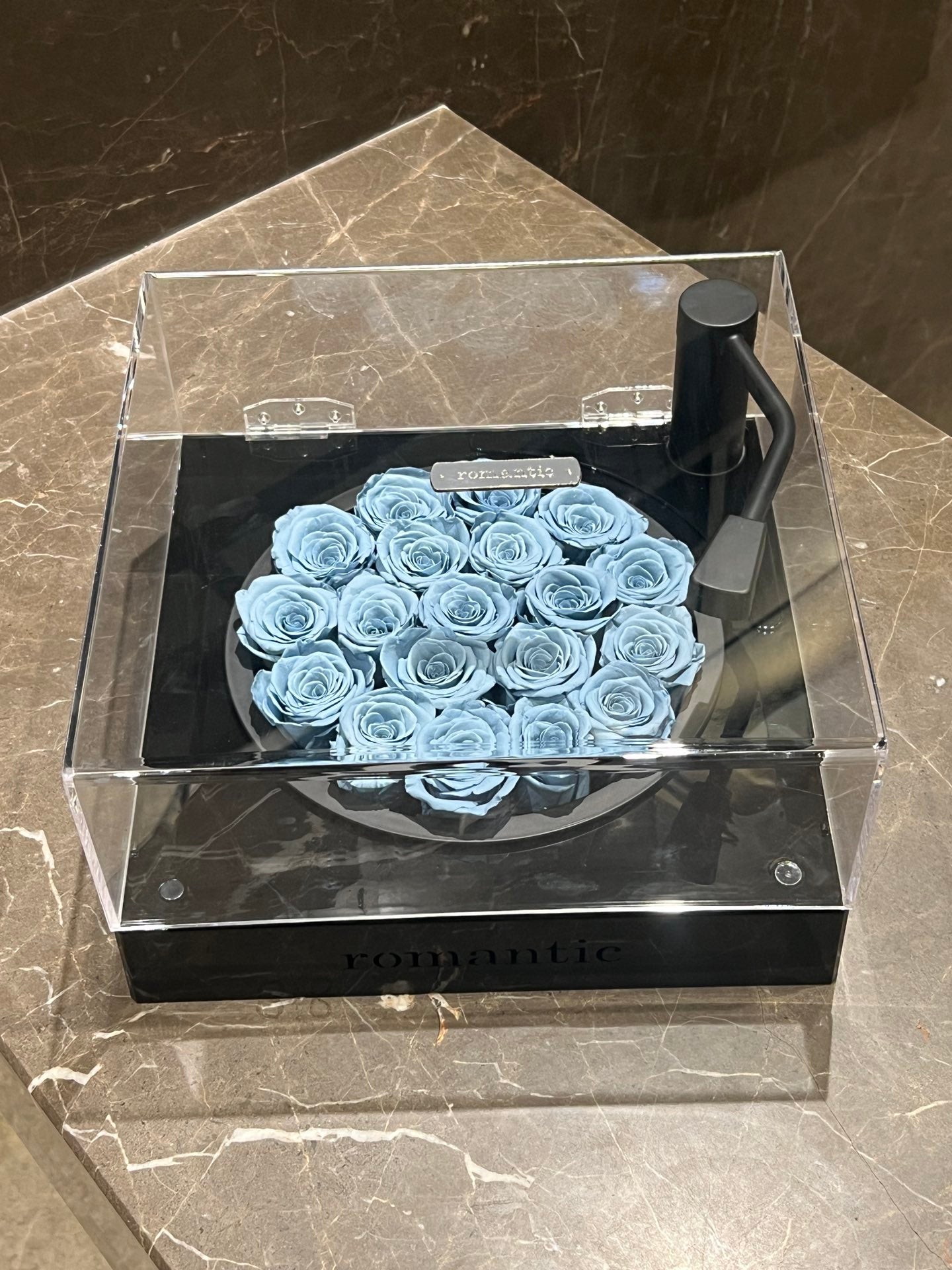 Wireless Bluetooth Speaker with Beautiful Preserved Rose - Best Gift for Music Lovers