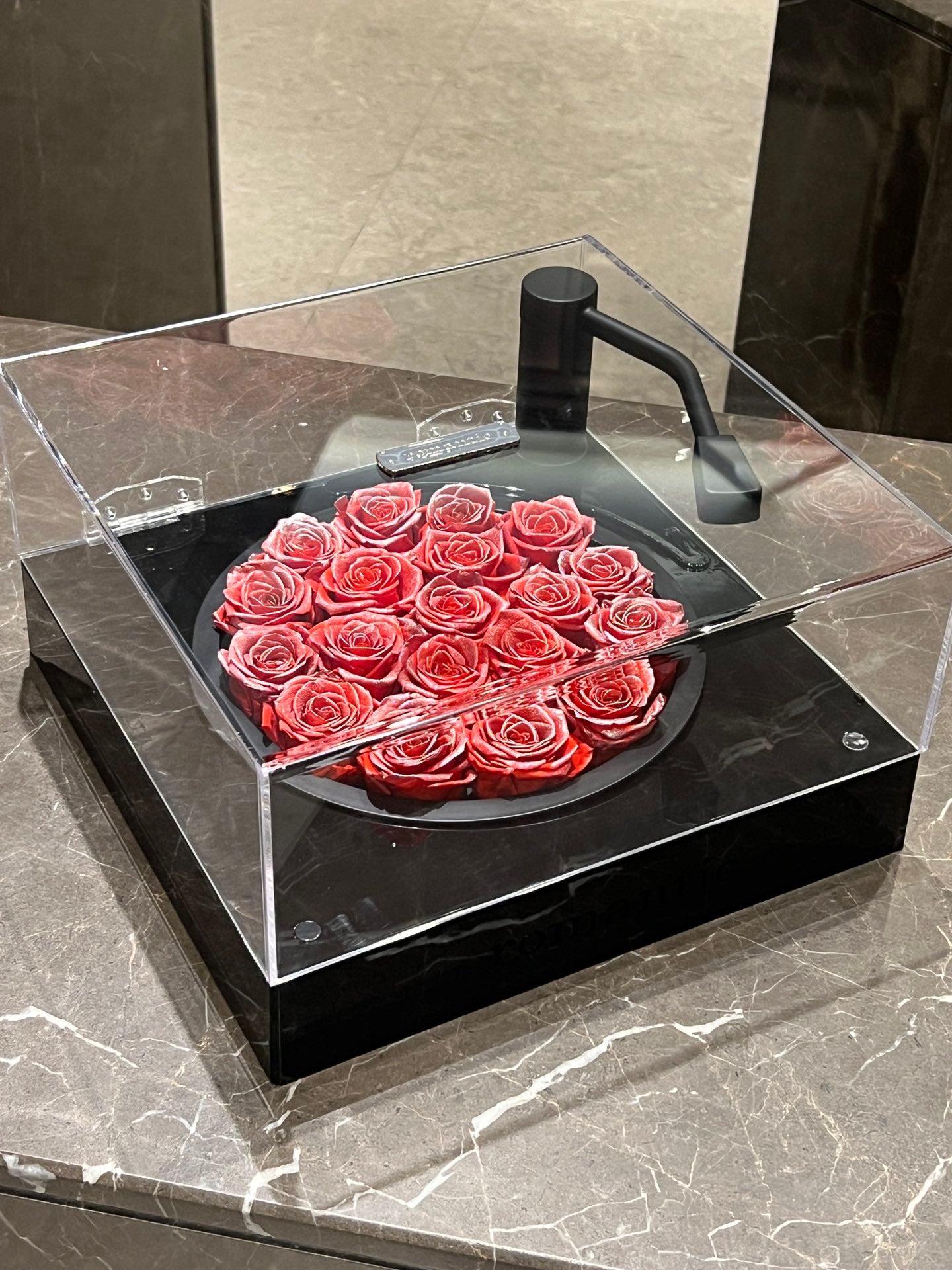 Luxury Glass Dome Bluetooth Speaker with Eternal Rose - Proposal Gift for Girlfriend