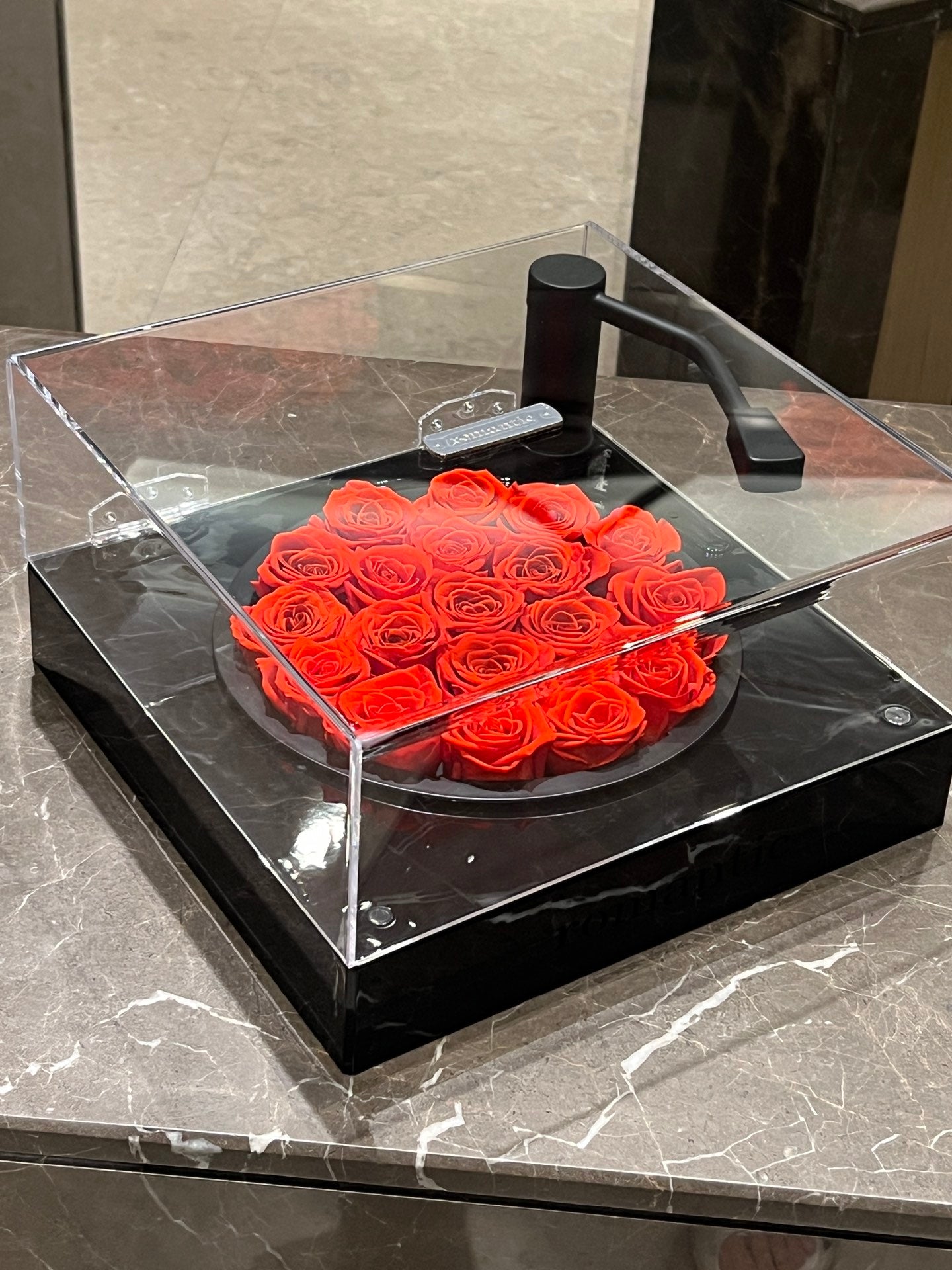 Preserved Flower Eternal Rose Romantic Bluetooth Music Box with Preserved Red Roses - I Love You Gift Birthday Gift for Girlfriend