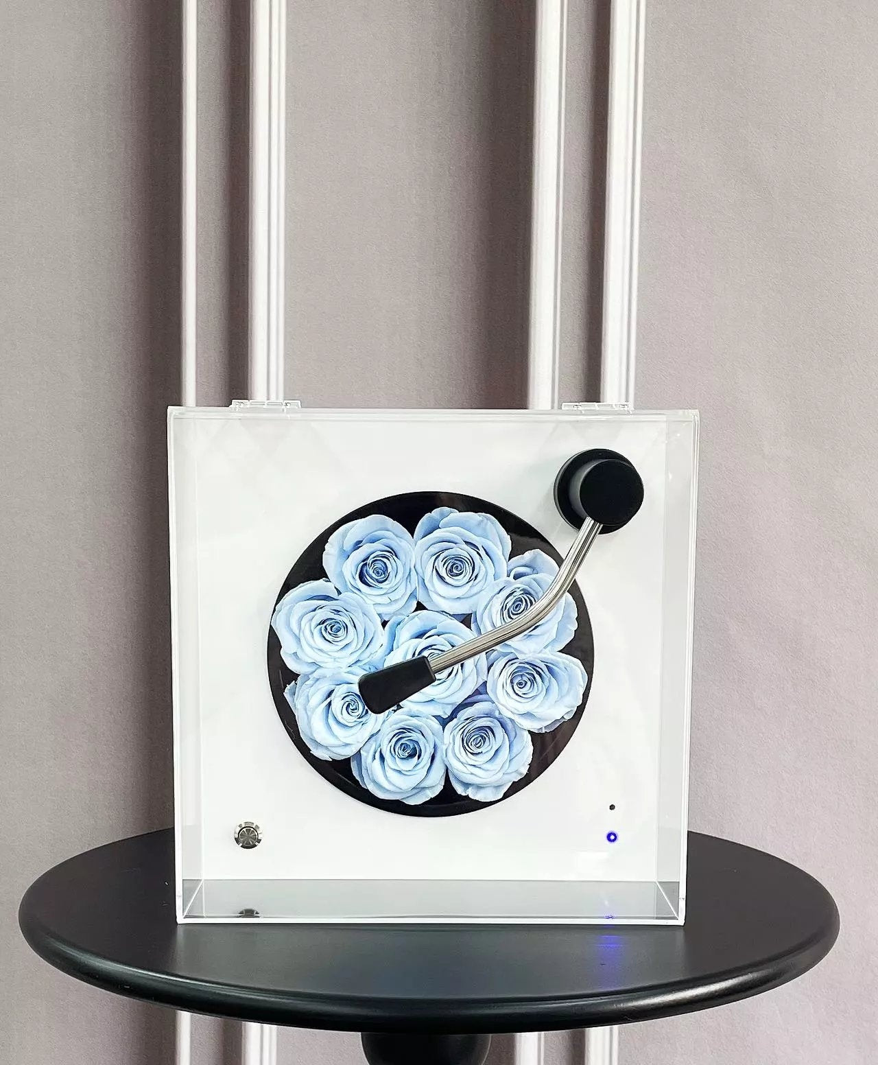 Preserved Rose and Bluetooth Speaker - Wedding Anniversary Gift for Her, Permanent Birthday Gift for Loved Ones