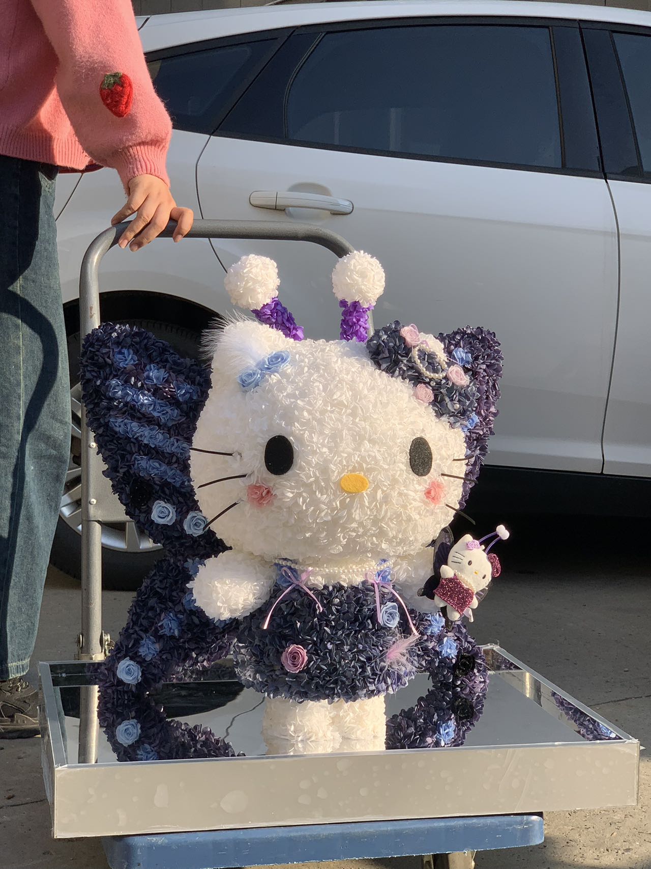 Preserved Flower Hello Kitty Doll - Eternal Bloom Cute Plush, Perfect Gift for Kitty Lovers & Deco