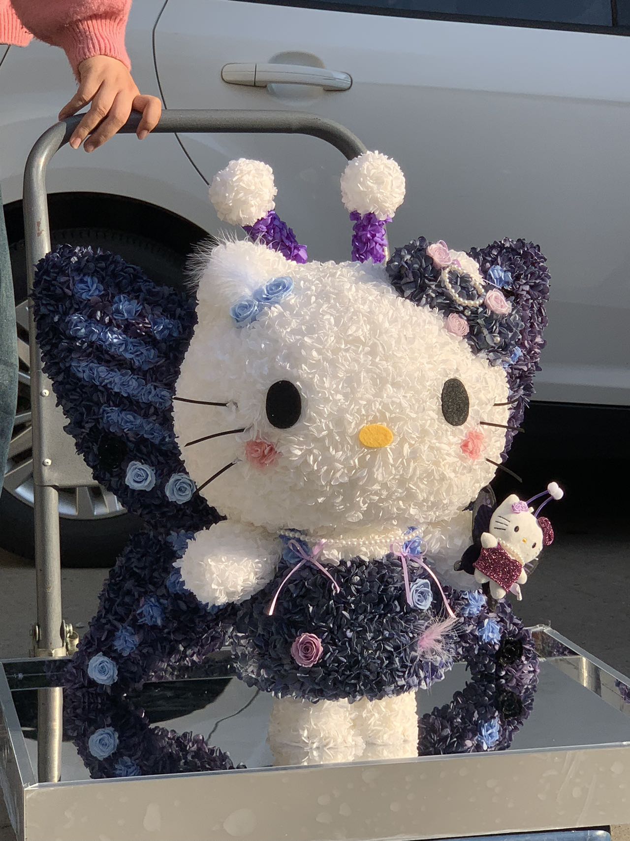 Preserved Flower Hello Kitty Doll - Eternal Bloom Cute Plush, Perfect Gift for Kitty Lovers & Deco