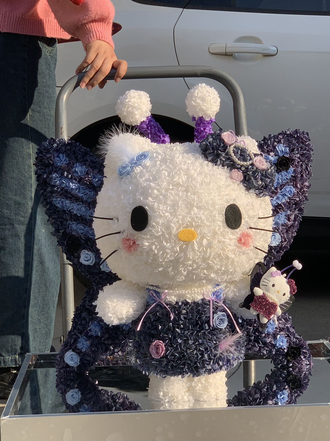 Preserved Flower Hello Kitty Doll - Eternal Bloom Cute Plush, Perfect Gift for Kitty Lovers & Deco