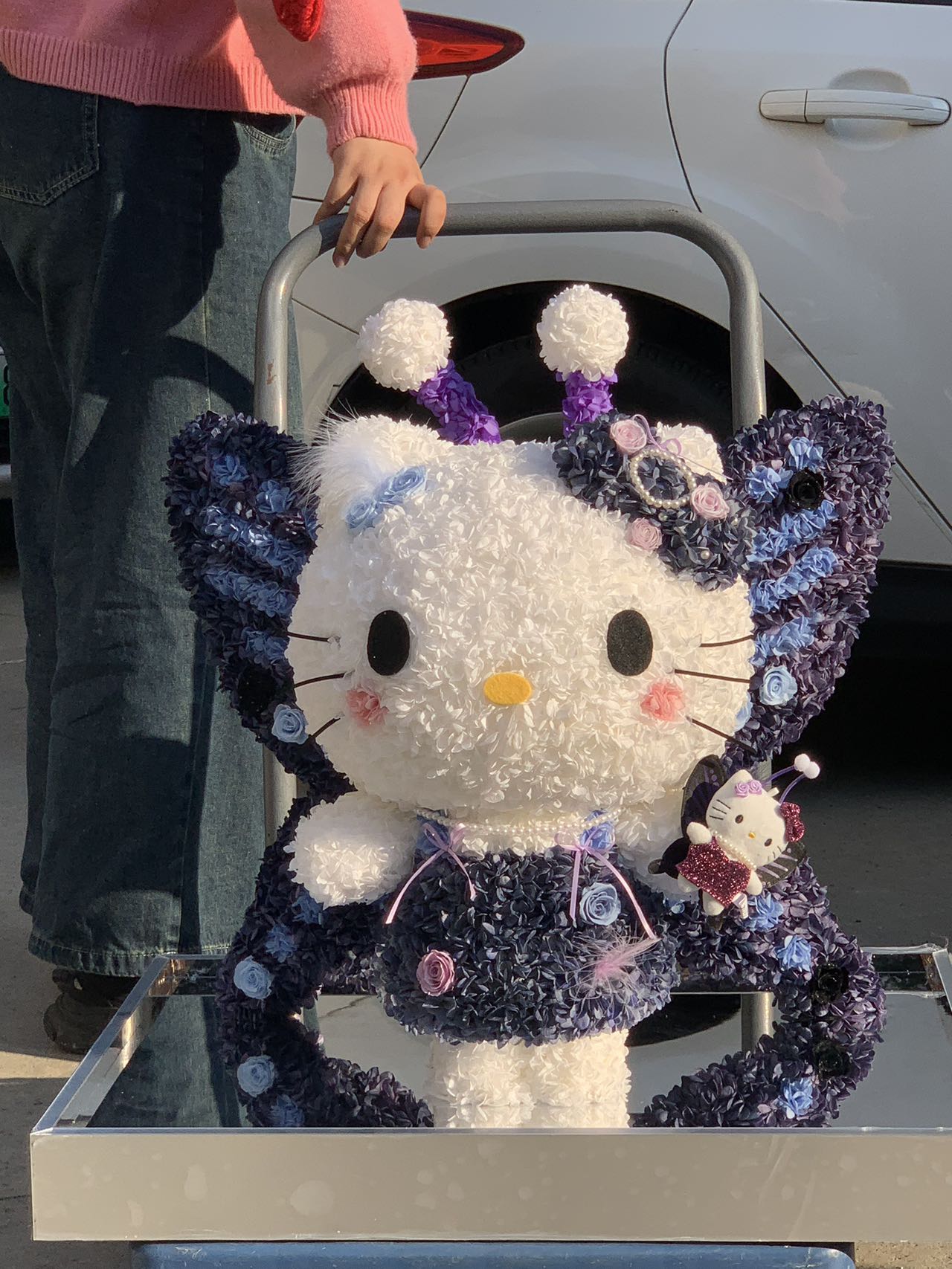 Preserved Flower Hello Kitty Doll - Eternal Bloom Cute Plush, Perfect Gift for Kitty Lovers & Deco