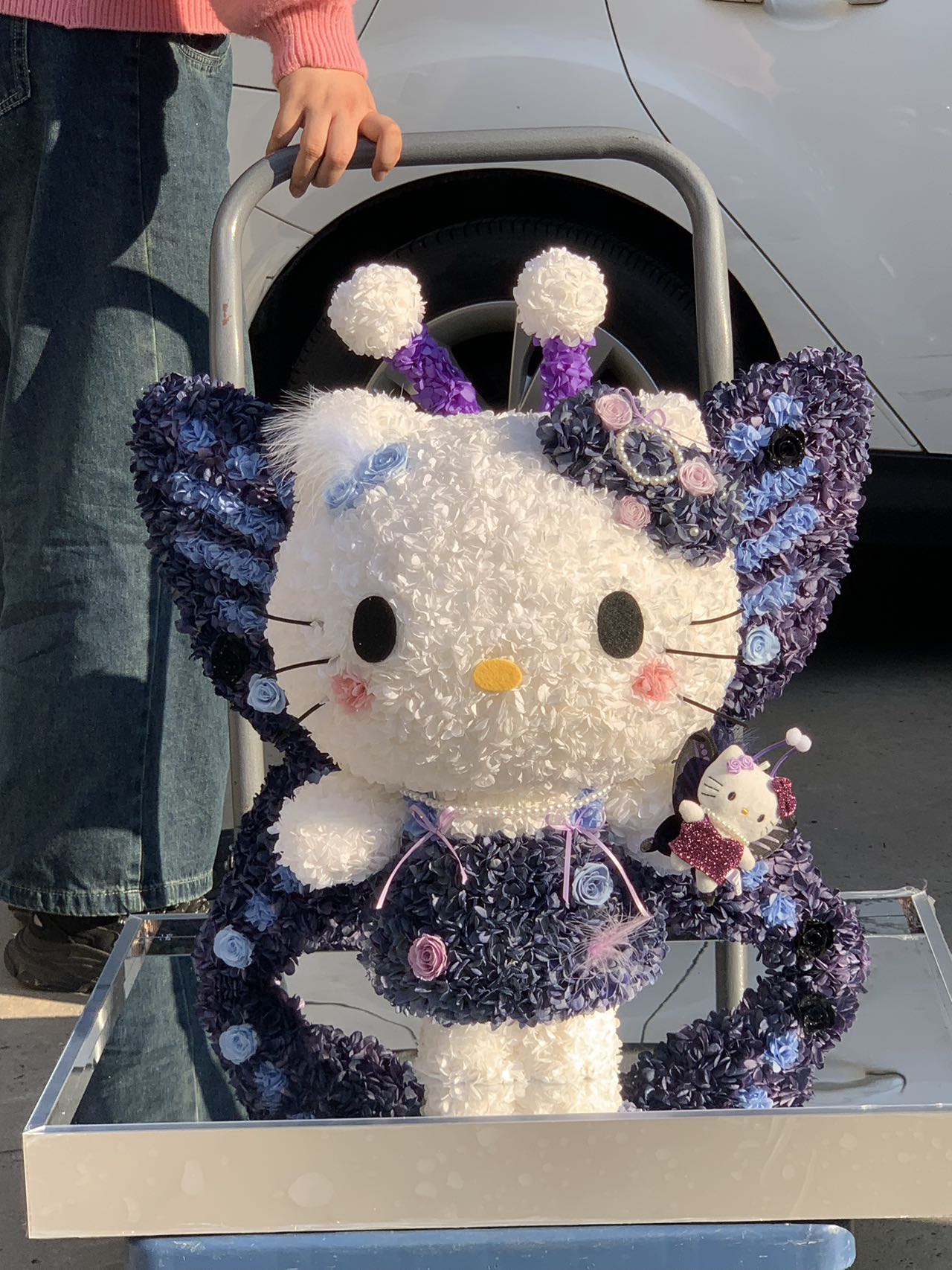 Preserved Flower Hello Kitty Doll - Eternal Bloom Cute Plush, Perfect Gift for Kitty Lovers & Deco