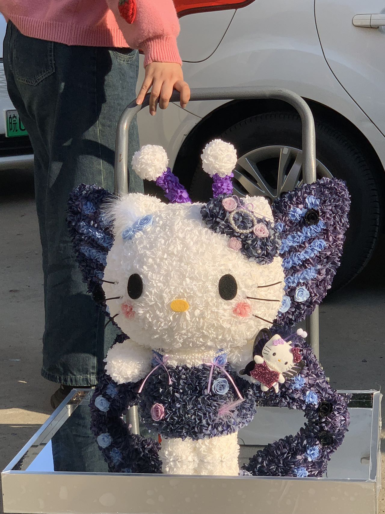 Preserved Flower Hello Kitty Doll - Eternal Bloom Cute Plush, Perfect Gift for Kitty Lovers & Deco