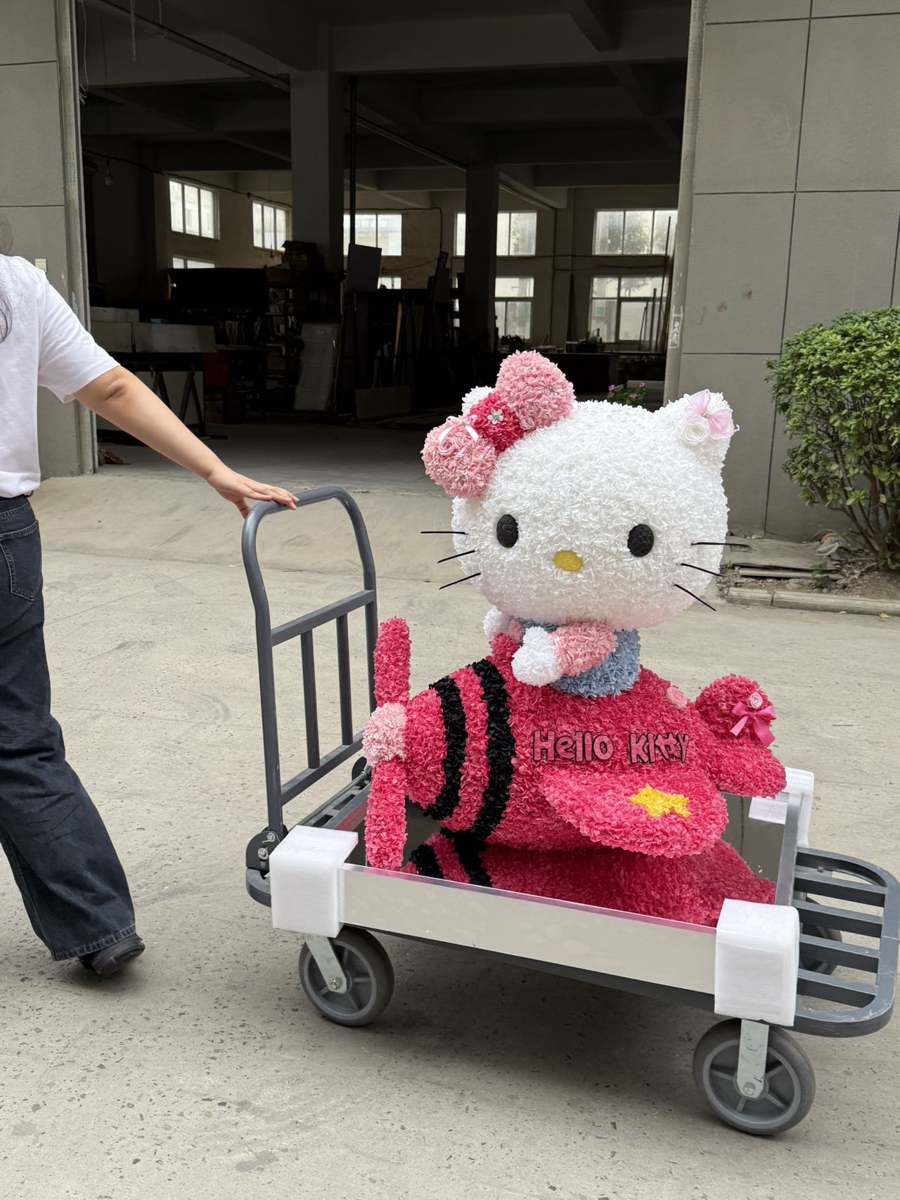 Hello Kitty Doll Crafted from Preserved Flowers - Eternal Floral Plush, Ideal for Valentine’s Day Gift