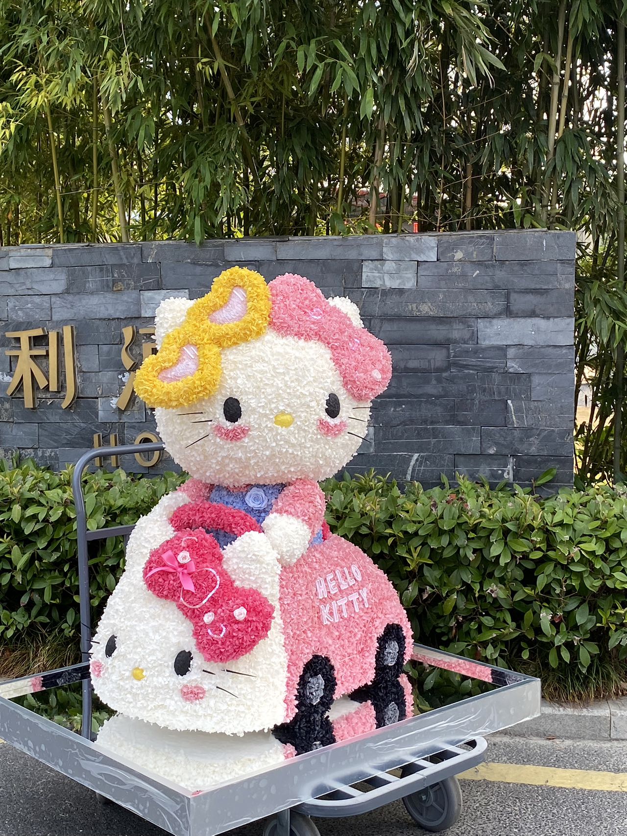  Preserved Flower Craft Hello Kitty Doll - Cute Perpetual Bloom Toy, Perfect for Hello Kitty Collectors