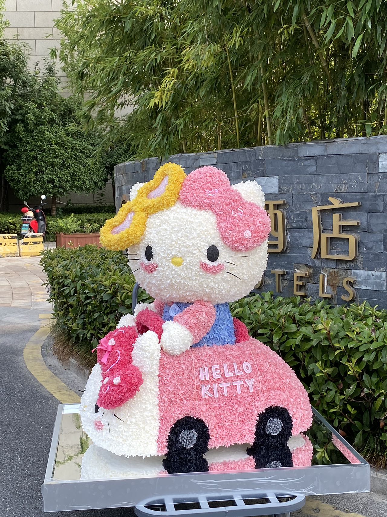  Preserved Flower Craft Hello Kitty Doll - Cute Perpetual Bloom Toy, Perfect for Hello Kitty Collectors