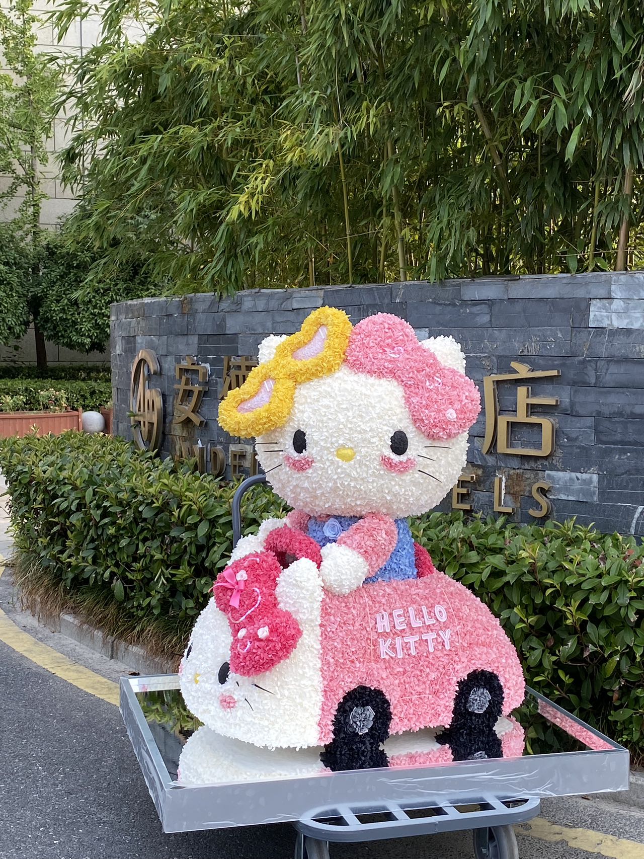  Preserved Flower Craft Hello Kitty Doll - Cute Perpetual Bloom Toy, Perfect for Hello Kitty Collectors