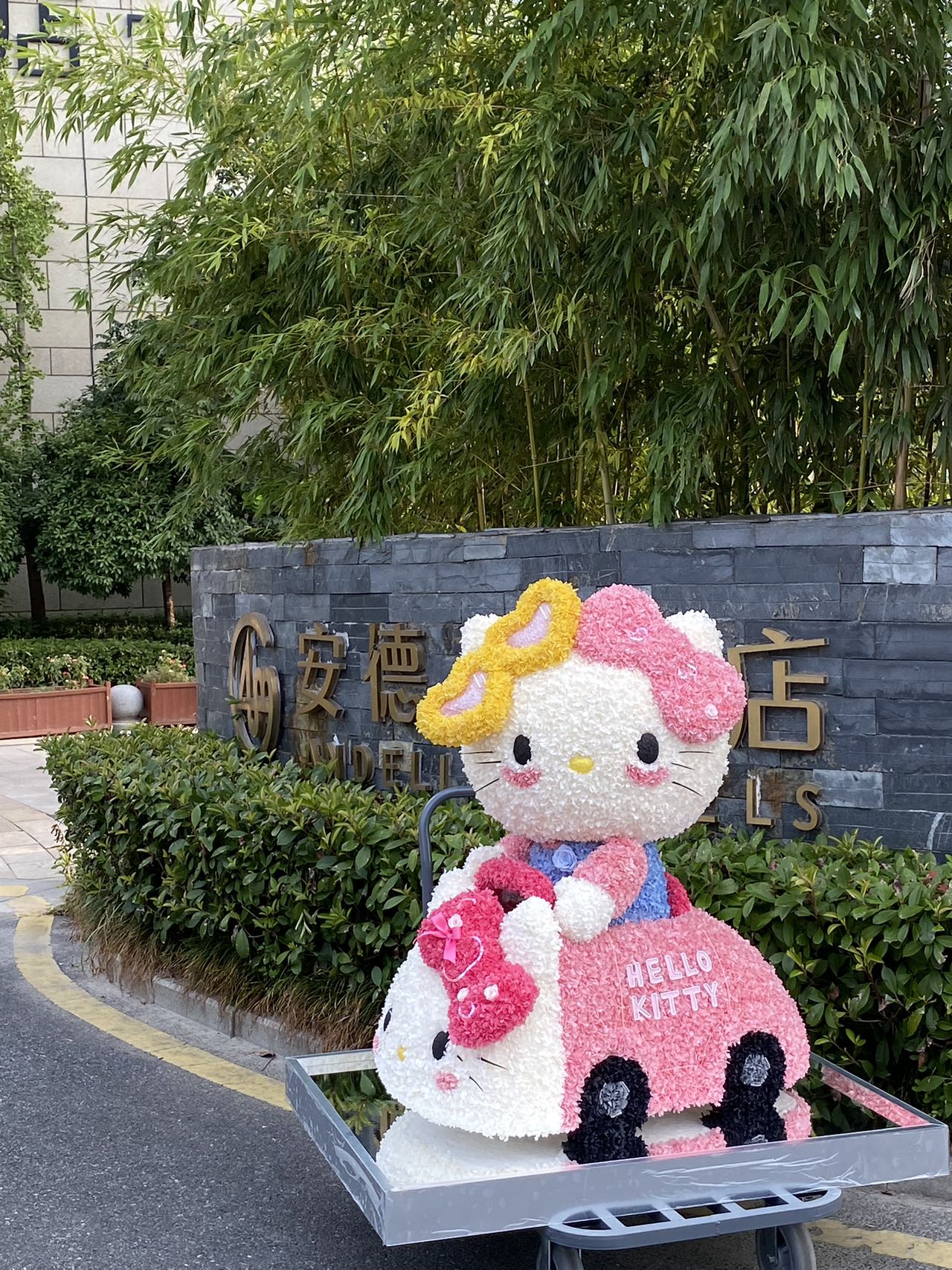  Preserved Flower Craft Hello Kitty Doll - Cute Perpetual Bloom Toy, Perfect for Hello Kitty Collectors