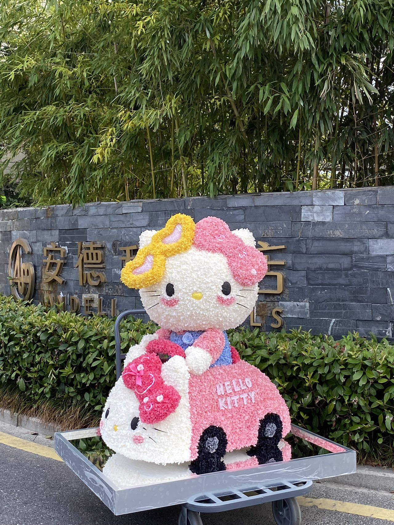  Preserved Flower Craft Hello Kitty Doll - Cute Perpetual Bloom Toy, Perfect for Hello Kitty Collectors