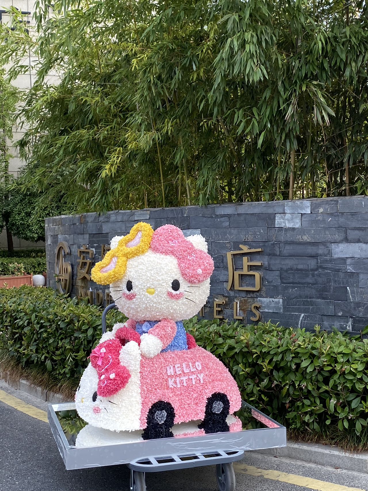  Preserved Flower Craft Hello Kitty Doll - Cute Perpetual Bloom Toy, Perfect for Hello Kitty Collectors