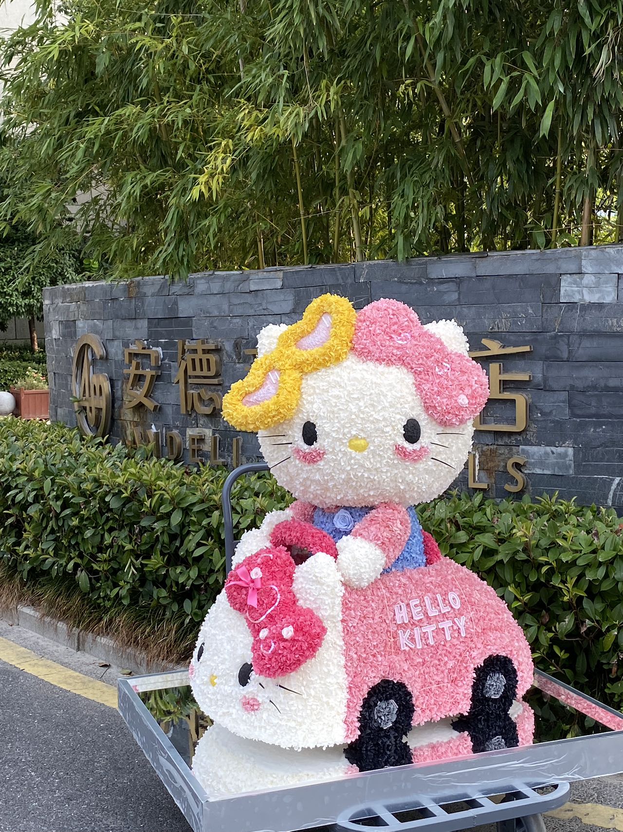  Preserved Flower Craft Hello Kitty Doll - Cute Perpetual Bloom Toy, Perfect for Hello Kitty Collectors