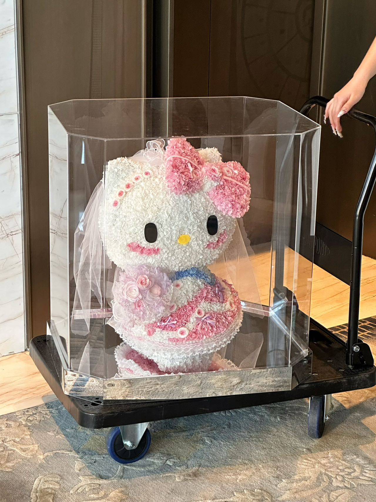 Hello Kitty Preserved Floral Doll - Long-Lasting Cute Plush, Great for Home Deco & Gift-Giving