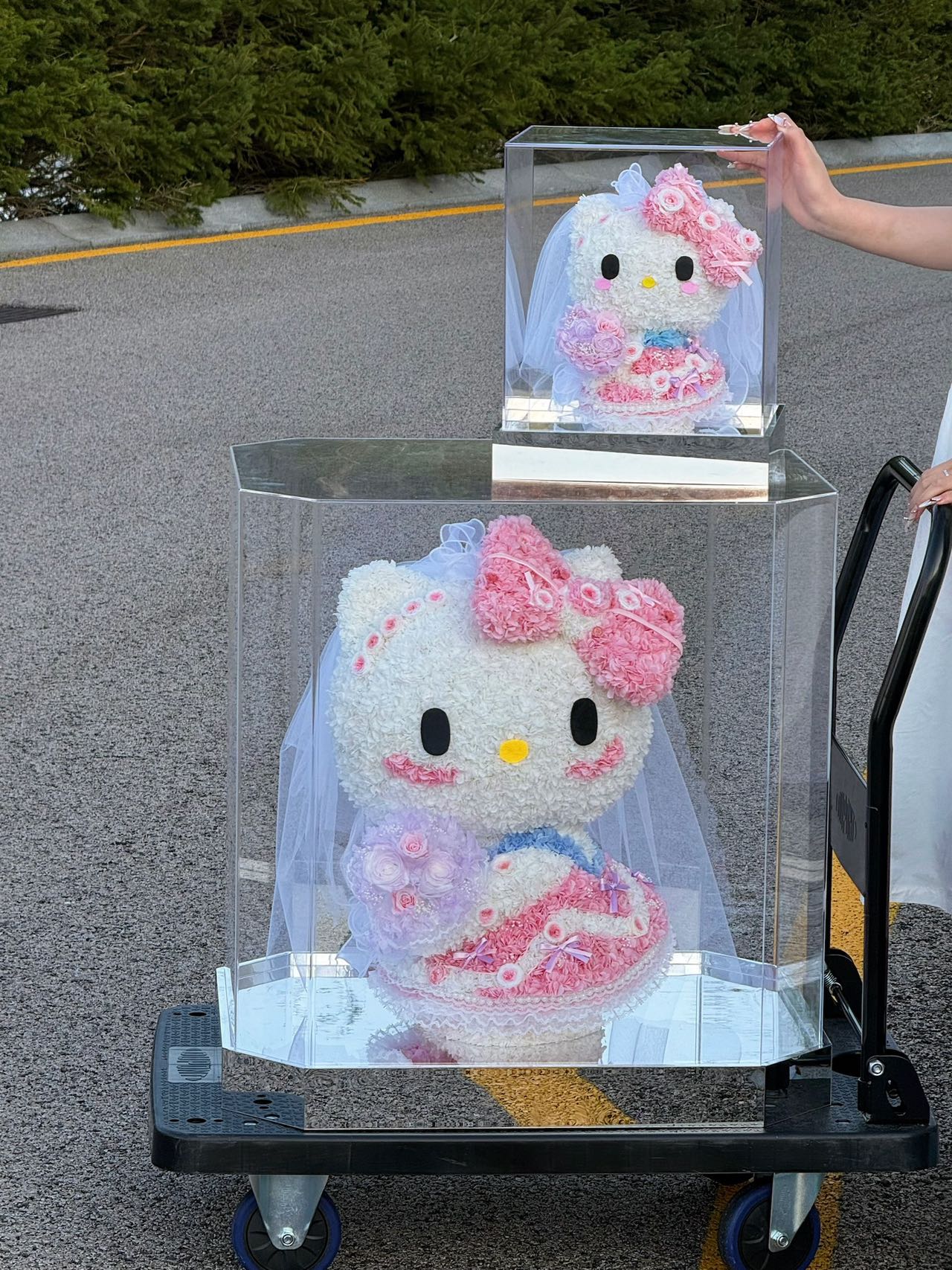 Hello Kitty Preserved Floral Doll - Long-Lasting Cute Plush, Great for Home Deco & Gift-Giving