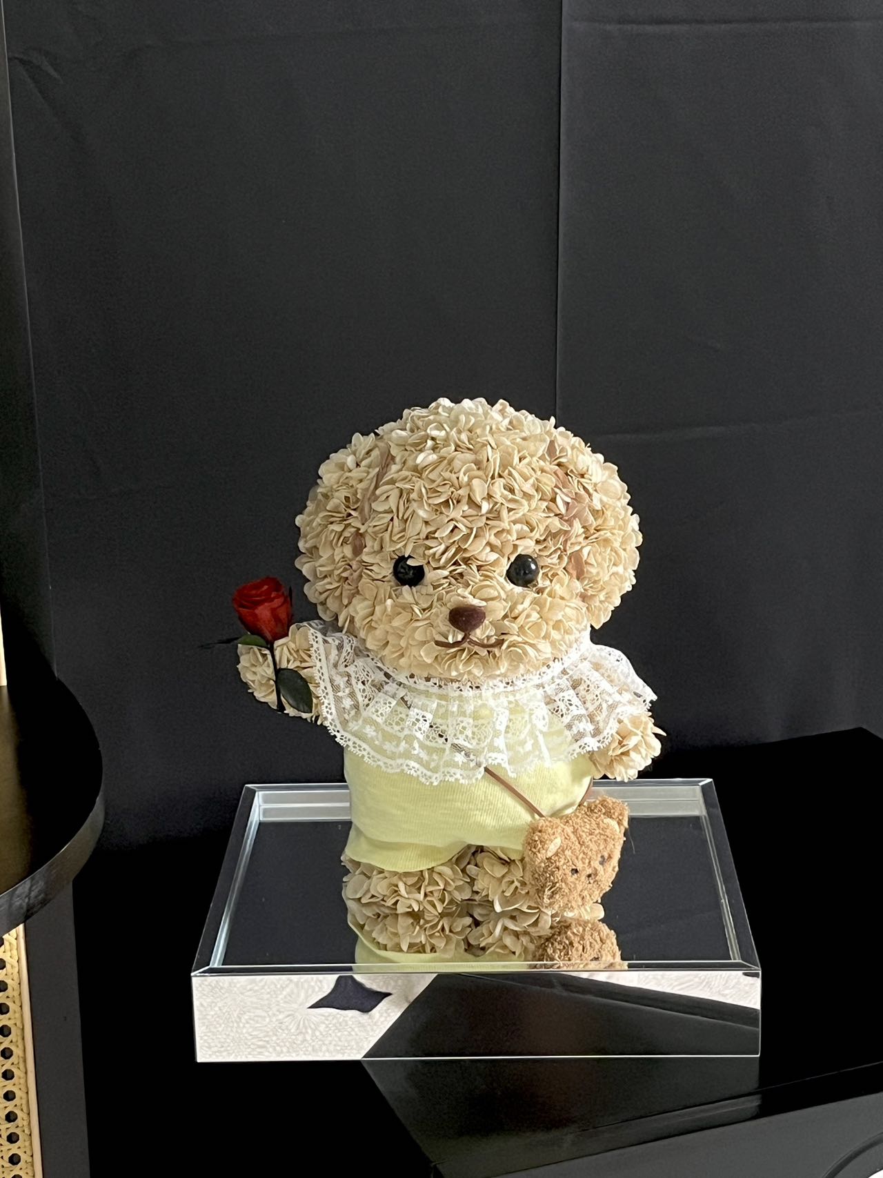 Preserved flower cute Senbei Poodle hydrangea gift birthday gift commemorative gift for girlfriend