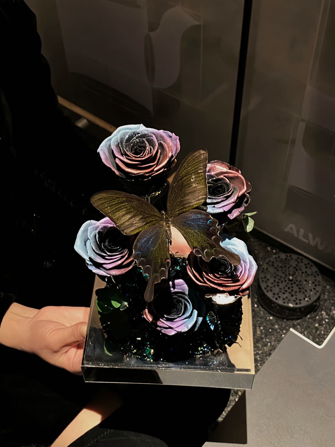 Preserved Rose and Real Butterfly Specimen Acrylic Gift Box Permanent Ornament Valentine's Day Gift